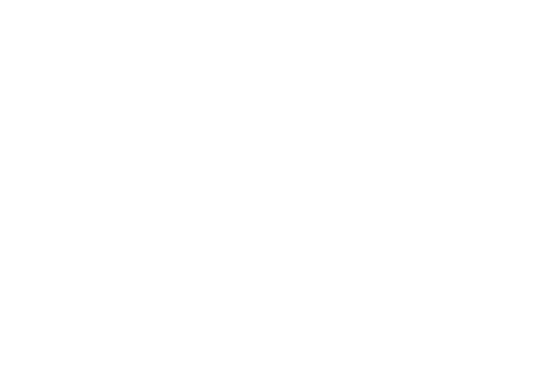 Logo Foyer Feest